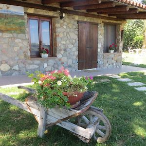 Monte Lago Bed and Breakfast Polpenazze del Garda Exterior photo