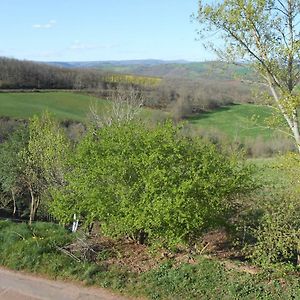 Chambre D'Hotes Des Monts Bed and Breakfast Saint-Izaire Exterior photo