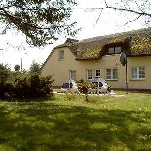 Urlaub Bei Hauenstein Appartement Born Exterior photo