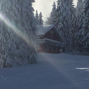 Auerhahn Hotel Feldberg  Exterior photo