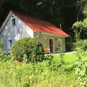 "Das Waldhaus" Villa Bad Lauterberg Exterior photo