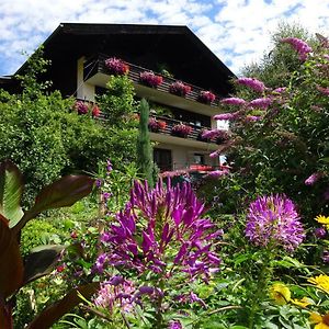 Landhaus Bonaventura Appartement Millstatt Exterior photo