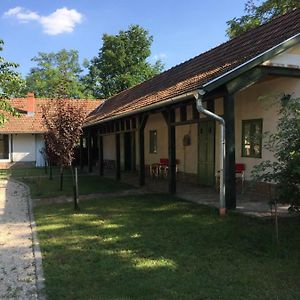 Farm House Appartement Domaszék Exterior photo