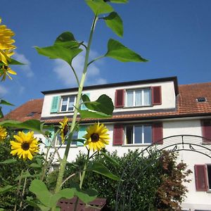 Ruhiges Gaestezimmer Appartement Winterthur Exterior photo