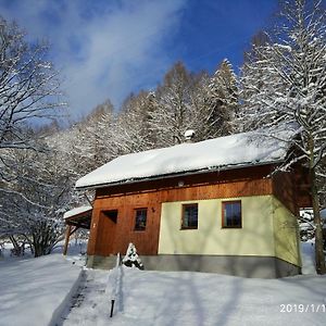 Chata Koutik Appartement Loučná nad Desnou Exterior photo