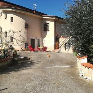 Casa Fra Gli Ulivi Di Giuseppe Pension Sonnino Exterior photo