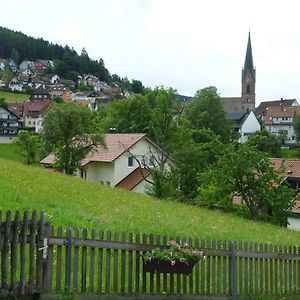 Naehe Nationalpark Appartement Baiersbronn Exterior photo