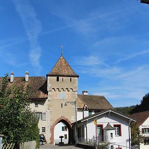 Wandern Und Wohnen Bei Gabriela Appartement Waldenburg Exterior photo