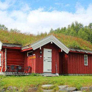 Gamlestugu Hytte Villa Ål Exterior photo