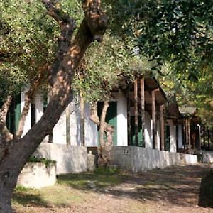 Villaggio Club S. Stefano Vieste Exterior photo