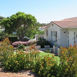 Restio Garden Studio Appartement Simonʼs Town Exterior photo