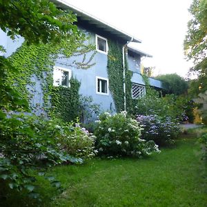 La Casa Blu Di Monasteto Bed and Breakfast Tricesimo Exterior photo