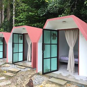 Eco Capsule Resort At Teluk Bahang, Penang Batu Feringgi Exterior photo