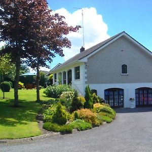 Athlumney Manor Guest Accommodation Navan Exterior photo