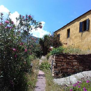 Ikarian Centre - Accommodation & Mountain Hiking Eudilos Exterior photo