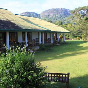 Jungle Tide Bed and Breakfast Kandy Exterior photo