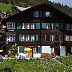 Studio Bim Chalet Bim Chilchli Appartement Mürren Exterior photo