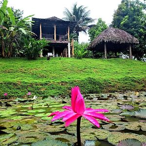 Bluff Hidden Paradise Pension Bocas del Toro Exterior photo