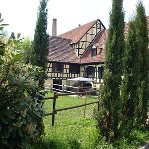 Maison De Vacances Alsace - Ferienhaus Elsass - Holiday House Alsace Villa Bischwiller Exterior photo