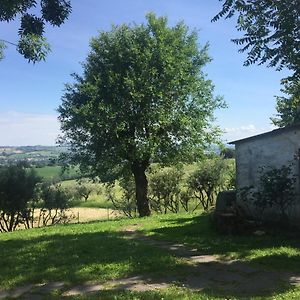 Bed & Breakfast Montsegur Bed and Breakfast Senigallia Exterior photo