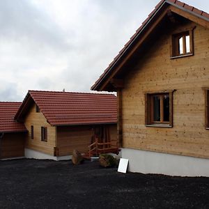 Oberwald Chalets Ferienhaus 3 Breungeshain Exterior photo