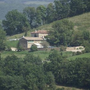 Domaine De Lavade Villa Verfeil-sur-Seye Exterior photo