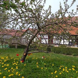 Pension Toepferhof Hotel Bad Berka Exterior photo