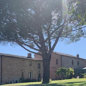 Le Manoir Saint Clair Bed and Breakfast Balma Exterior photo