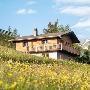 Labbrunnu In Den Walliser Alpen Appartement Rosswald Exterior photo