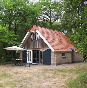 Awesome home in Steenwijk - De Bult w/ Sauna, WiFi&3 Bedrooms Exterior photo