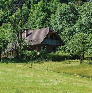 Chalet Kupljenik Near Bled Lake Villa Bohinjska Bela Exterior photo