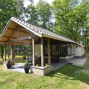 Detached Bungalow With Lovely Covered Terrace In A Nature Rich Holiday Park Stramproy Exterior photo
