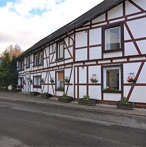 Modern Group Of Homes Close To Willingen And Winterberg With Large Garden Medebach Exterior photo