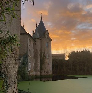 Chateau De La Preuille Gites Saint-Hilaire-de-Loulay Exterior photo