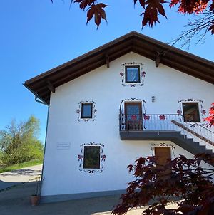 Ferienhaus Am Kagerstein Pension Neukirchen beim Heiligen Blut Exterior photo