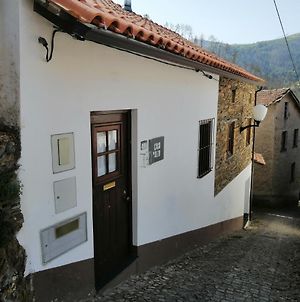 Casa Do Alto - Benfeita Bed and Breakfast Exterior photo