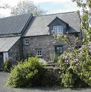 Alltybrain Farm Cottages And Farmhouse B&B Brecon Exterior photo