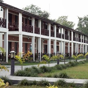 Babai Resort Pvt Ltd Bardiya Exterior photo