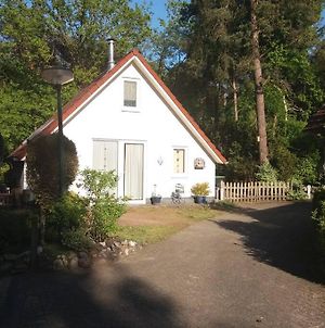 Boshuisje nabij het Reestdal Villa Zuidwolde  Exterior photo