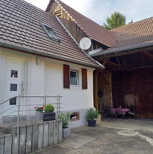 Kleines Bauernhaus Mit Nostalgischem Flair Villa Rheinhausen Exterior photo