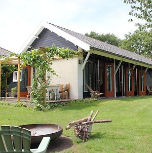 Familiehuis De Betuwe met kunstgras tennisbaan en sauna Villa Erichem Exterior photo