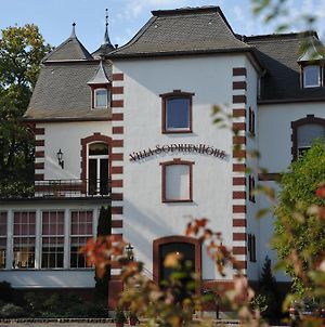 Villa Sophienhohe Kerpen  Exterior photo