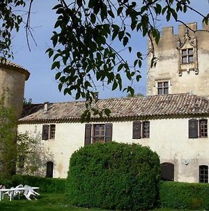 Conciergerie Du Chateau D'Allemagne En Provence Villa Exterior photo