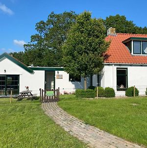 Heerlijk vakantiehuis aan het IJsselmeer Villa Warns Exterior photo