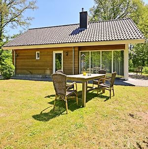 Beautiful Chalet With Gas Fire And Gorgeous View Of The Natural Surroundings Villa Weerselo Exterior photo