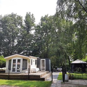 Vakantienoord, Chalet 6P With Veranda, Located In Friesland, 5 Stars Camping On The Lake Villa Suameer Exterior photo