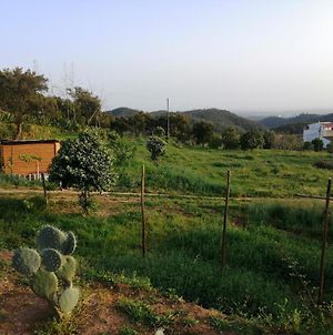 Vinha Do Gaio Villa Monchique Exterior photo