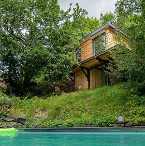 Le Moonloft Insolite Tiny-House Dans Les Arbres & 1 Seance De Sauna Pour 2 Avec Vue Panoramique Villa Osenbach Exterior photo