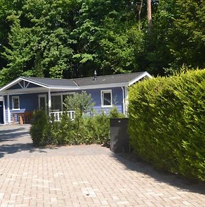 Cosy Cottage With Combi Microwave Located Near The Forest Rhenen Exterior photo