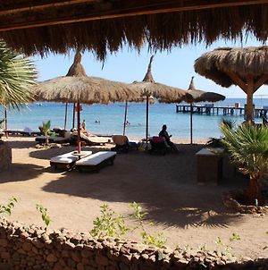 Sunshine Divers Club - Il Porto Bed and Breakfast Sharm-el-Sheikh Exterior photo